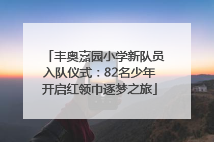 丰奥嘉园小学新队员入队仪式：82名少年开启红领巾逐梦之旅
