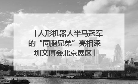 人形机器人半马冠军的“同胞兄弟”亮相深圳文博会北京展区