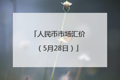 人民币市场汇价（5月28日）