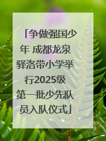 争做强国少年 成都龙泉驿洛带小学举行2025级第一批少先队员入队仪式