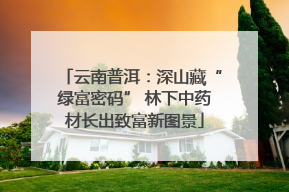 云南普洱：深山藏“绿富密码” 林下中药材长出致富新图景