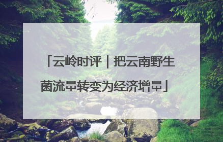 云岭时评｜把云南野生菌流量转变为经济增量