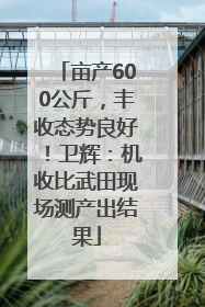 亩产600公斤，丰收态势良好！卫辉：机收比武田现场测产出结果