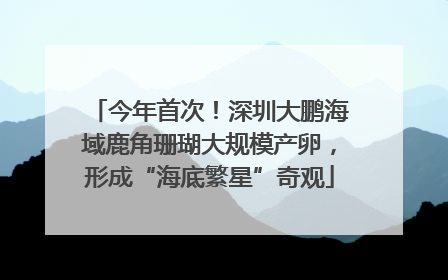 今年首次！深圳大鹏海域鹿角珊瑚大规模产卵，形成“海底繁星”奇观