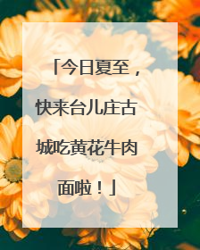 今日夏至，快来台儿庄古城吃黄花牛肉面啦！