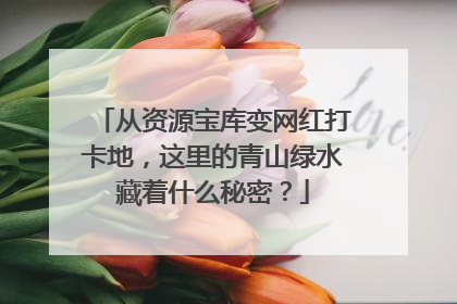 从资源宝库变网红打卡地，这里的青山绿水藏着什么秘密？
