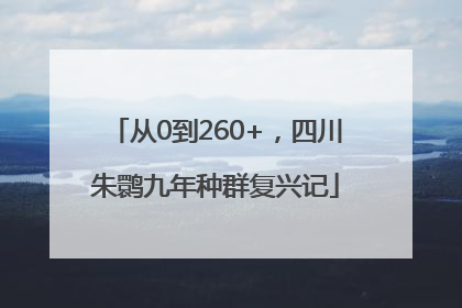 从0到260+，四川朱鹮九年种群复兴记