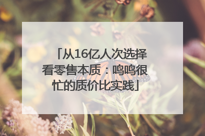 从16亿人次选择看零售本质：鸣鸣很忙的质价比实践