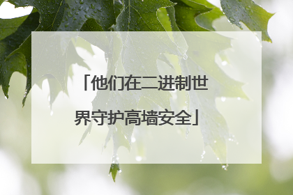 他们在二进制世界守护高墙安全