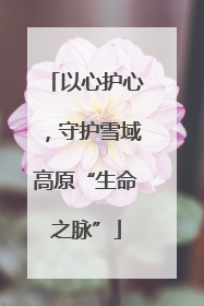 以心护心，守护雪域高原“生命之脉”