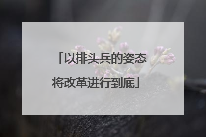 以排头兵的姿态将改革进行到底