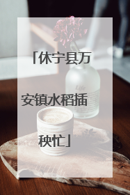 休宁县万安镇水稻插秧忙