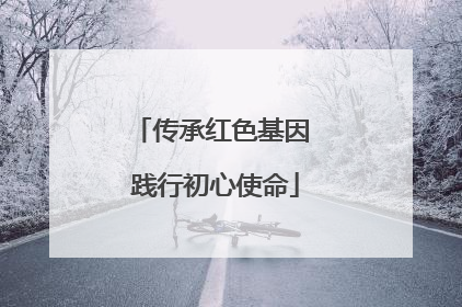 传承红色基因 践行初心使命