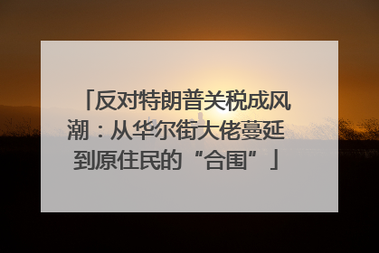 反对特朗普关税成风潮：从华尔街大佬蔓延到原住民的“合围”