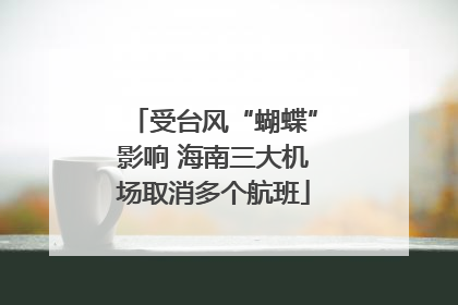 受台风“蝴蝶”影响 海南三大机场取消多个航班