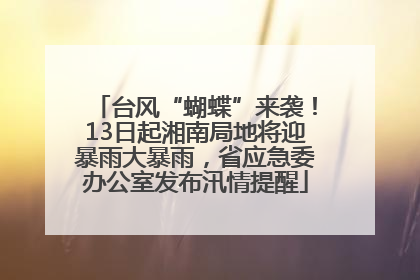 台风“蝴蝶”来袭！13日起湘南局地将迎暴雨大暴雨，省应急委办公室发布汛情提醒