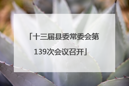 十三届县委常委会第139次会议召开