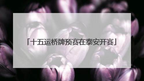 十五运桥牌预赛在泰安开赛