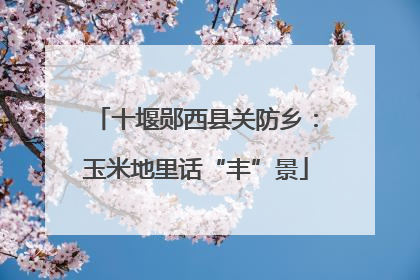 十堰郧西县关防乡：玉米地里话“丰”景