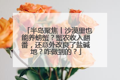 半岛聚焦丨沙漠里也能养螃蟹？蟹农收入翻番，还意外改良了盐碱地？咋做到的？