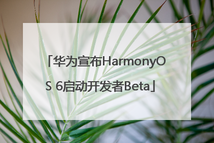 华为宣布HarmonyOS 6启动开发者Beta