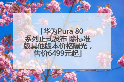 华为Pura 80系列正式发布 除标准版其他版本价格曝光，售价6499元起