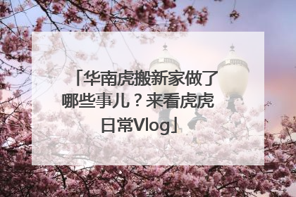 华南虎搬新家做了哪些事儿？来看虎虎日常Vlog