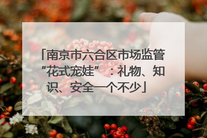 南京市六合区市场监管“花式宠娃”：礼物、知识、安全一个不少