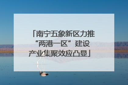 南宁五象新区力推“两港一区”建设 产业集聚效应凸显
