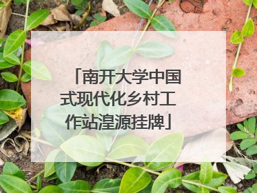 南开大学中国式现代化乡村工作站湟源挂牌