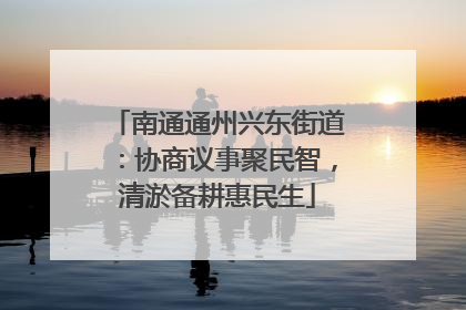 南通通州兴东街道：协商议事聚民智，清淤备耕惠民生