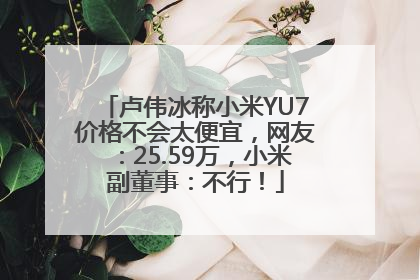 卢伟冰称小米YU7价格不会太便宜，网友：25.59万，小米副董事：不行！