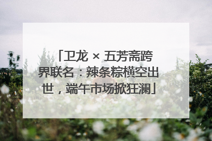 卫龙 × 五芳斋跨界联名：辣条粽横空出世，端午市场掀狂澜