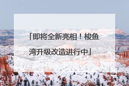 即将全新亮相！梭鱼湾升级改造进行中