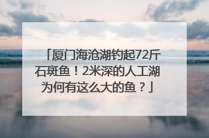 厦门海沧湖钓起72斤石斑鱼！2米深的人工湖为何有这么大的鱼？