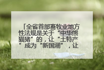 全省首部畜牧业地方性法规是关于“中华熊猫猪”的，让“土特产”成为“新国潮”，让“农产品”升格为“城市IP”
