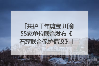 共护千年瑰宝 川渝55家单位联合发布《石窟联合保护倡议》