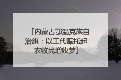 内蒙古鄂温克族自治旗：以工代赈托起农牧民增收梦