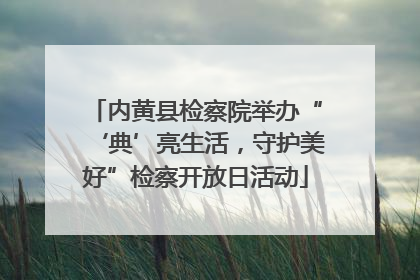 内黄县检察院举办“‘典’亮生活，守护美好”检察开放日活动