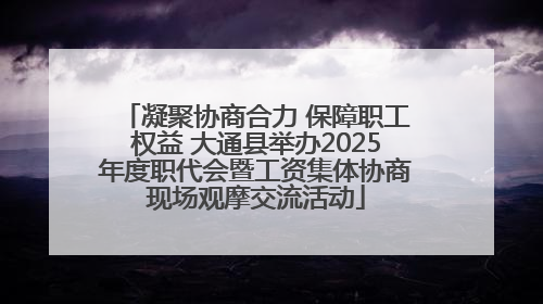 凝聚协商合力 保障职工权益 大通县举办2025年度职代会暨工资集体协商现场观摩交流活动