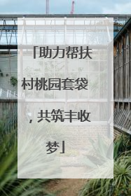 助力帮扶村桃园套袋，共筑丰收梦