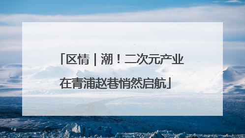区情｜潮！二次元产业在青浦赵巷悄然启航