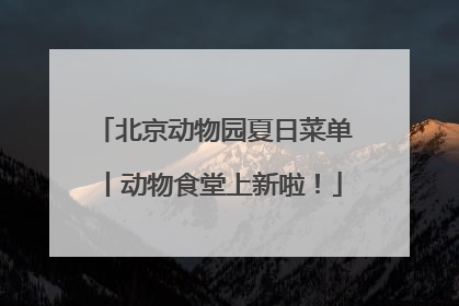 北京动物园夏日菜单丨动物食堂上新啦！
