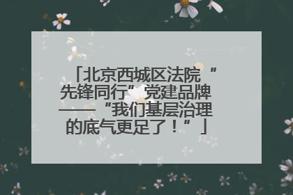 北京西城区法院“先锋同行”党建品牌——“我们基层治理的底气更足了！”