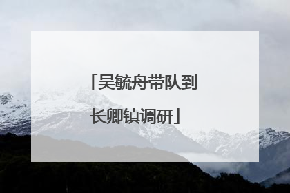 吴毓舟带队到长卿镇调研