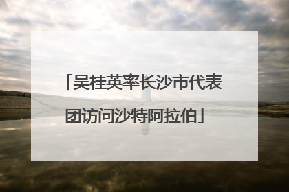 吴桂英率长沙市代表团访问沙特阿拉伯