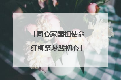 同心家国担使命 红柳筑梦践初心