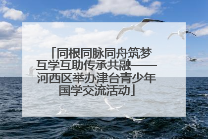 同根同脉同舟筑梦 互学互助传承共融——河西区举办津台青少年国学交流活动
