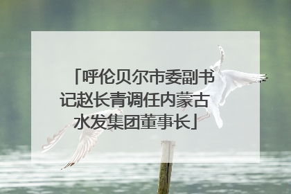 呼伦贝尔市委副书记赵长青调任内蒙古水发集团董事长