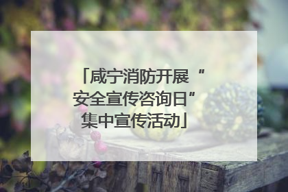 咸宁消防开展“安全宣传咨询日”集中宣传活动